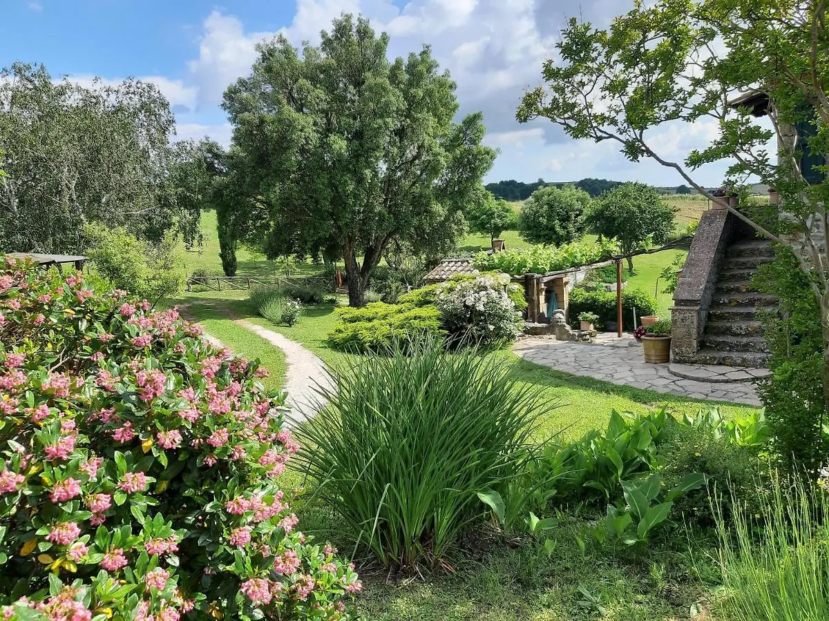 Farm stay Agriturismo Cantinaccia Di Sopra Villa Pitigliano Italy