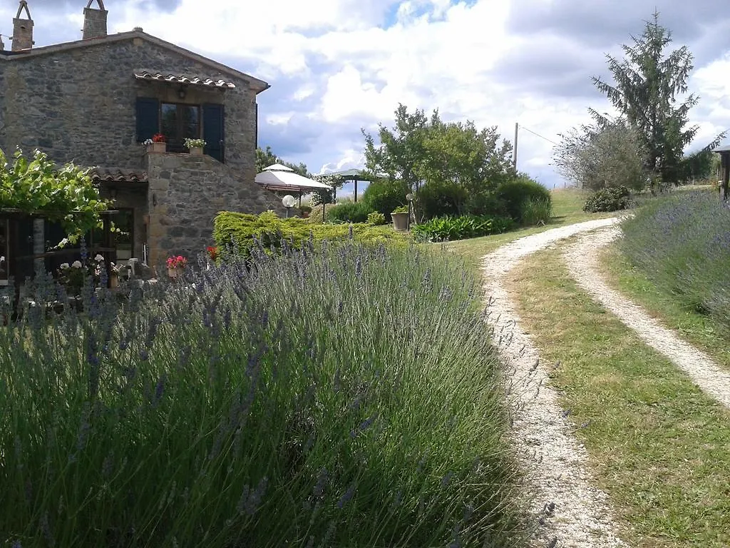 Agriturismo Cantinaccia Di Sopra Villa Pitigliano Farm stay