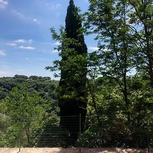 Apartment La Casa All'oliveto, Pitigliano